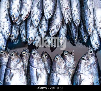 Pesce fresco al mercato del pesce Foto Stock