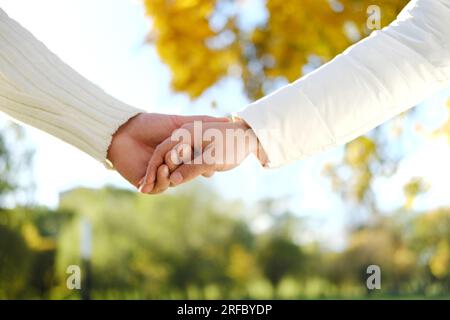 Un uomo tiene la mano di una donna mentre cammina in un parco autunnale. Le mani sparate da vicino. Foto orizzontale Foto Stock