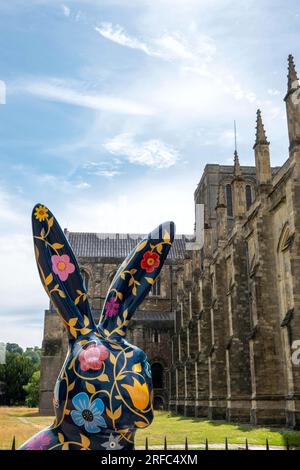 Hares of Hampshire Art Trail Winchester England 2022, Flora e Midnight Garden Hare di Marnie Maurri fuori dalla cattedrale di Winchester Foto Stock