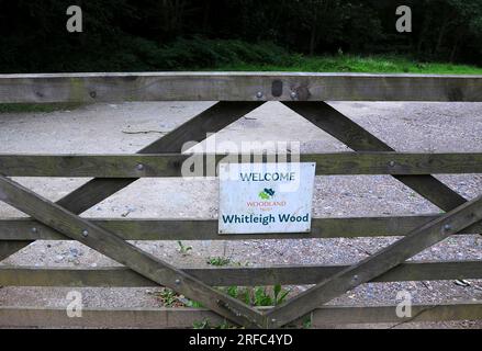 Whitleigh Wood Woodland Trust Foto Stock