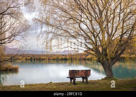 Panchina pubblica tra gli alberi affacciata su un lago. Foto Stock