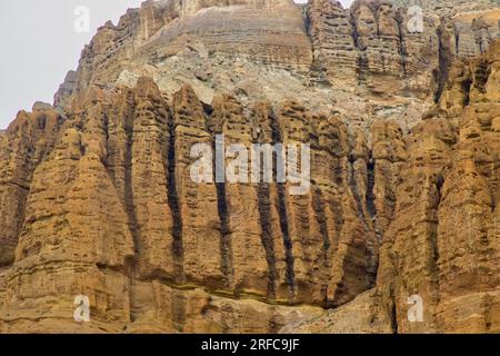 Vegetazione e fiori lungo il deserto dell'Upper Mustang con grotte artificiali nel villaggio di Chhusang, Nepal Foto Stock