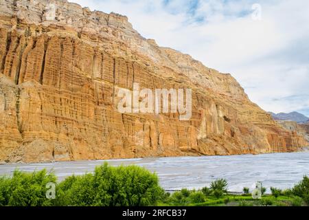 Vegetazione e fiori lungo il deserto dell'Upper Mustang con grotte artificiali nel villaggio di Chhusang, Nepal Foto Stock