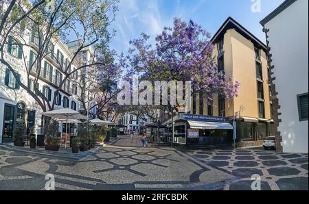 Isola di Madeira Portogallo - 04 19 2023: Vista panoramica sulla via António José de Almeida, nel centro di Funchal, architettura e stile di vita della città Foto Stock