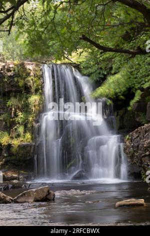 East Gill Force, una piccola cascata vicino alla frazione di Keld, Swaledale, Yorkshire Dales. Foto Stock