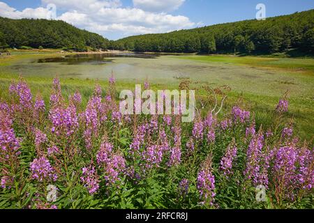 Lago di Baccio nell'Appennino Toscano Emiliano, Italia Foto Stock