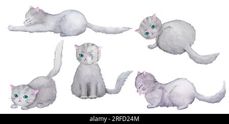 Un set di simpatici e soffici gatti grigi in diverse pose. Collezione di illustrazioni ad acquerello sul tema degli animali domestici. Foto Stock