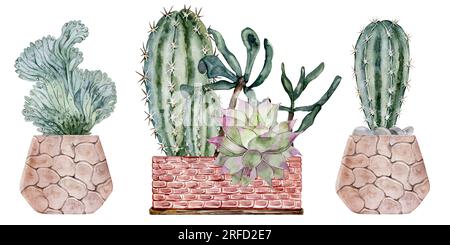 Set di cactus e succulenti in vasi di argilla. Piante domestiche. Illustrazione acquerello. Foto Stock