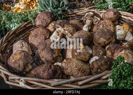 Funghi Porcini/porcini freschi funghi organico sul display interno nel cesto rustico a specialità di alta qualità gastronomiche in Borough Market Southwark London REGNO UNITO Foto Stock
