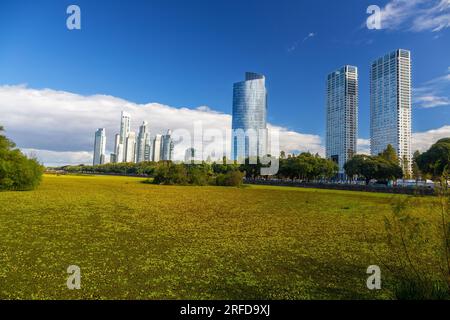 Panoramica di Buenos Aires, skyline dell'Argentina. Lontano Puerto Madero City Center Highrise Buildings Vista dal Costanera Sur Ecological Reserve Urban Park Foto Stock