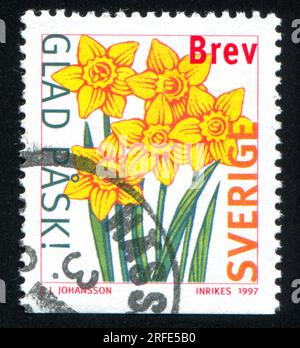 SVEZIA - CIRCA 1997: Francobollo stampato dalla Svezia, mostra Daffodils, circa 1997 Foto Stock