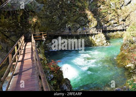 Bled, Slovenia - 23 ottobre 2022: Ponte di legno e passaggio pedonale che conduce attraverso la gola di Vintgar vicino a Bled a Gorenjska, Slovenia, con persone sul walkwa Foto Stock