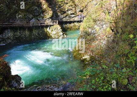 Il fiume Radovna scorre attraverso la gola di Vintgar vicino a Bled a Gorenjska, Slovenia Foto Stock