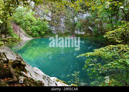 Vista del Divje jezero color turchese o del lago selvaggio vicino a Idrija a Primorska, Slovenia in estate Foto Stock