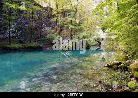 Vista del Divje jezero o del lago selvaggio vicino a Idrija a Primorska, Slovenia in estate Foto Stock