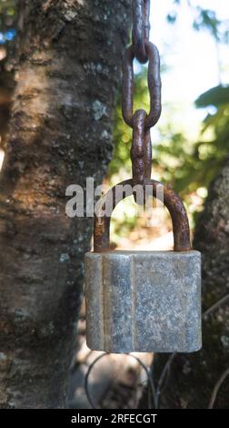 Un grande lucchetto è appeso a una catena arrugginita su uno sfondo di sullo sfondo di un vecchio albero. Messa a fuoco selettiva morbida Foto Stock