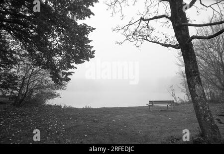 Germeringer SEE vicino a Germering nell'alta Baviera. Paesaggio al lago nella nebbia. Ripresa in bianco e nero. Foggy Morning nella natura. Foto Stock