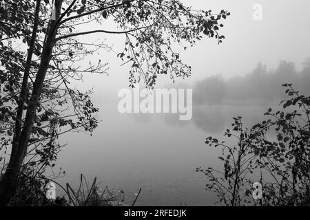 Germeringer SEE vicino a Germering nell'alta Baviera. Paesaggio al lago nella nebbia. Ripresa in bianco e nero. Foggy Morning nella natura. Foto Stock