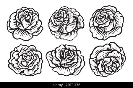 Bocciolo di fiori con petali e rosa in fiore disegnata a mano. Set floreale. Disegnare l'illustrazione vettoriale vintage Illustrazione Vettoriale