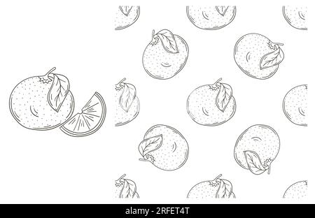 Con stile disegnato a mano. Pompelmo, arancio rosso. Colorazione con frutta tropicale. Può essere utilizzato per tessuti, imballaggi, carta da imballaggio e così via Illustrazione Vettoriale