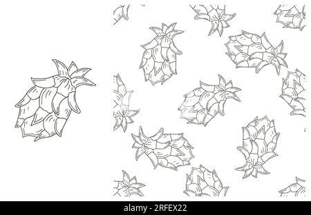 Colorazione con frutta tropicale. Con stile disegnato a mano. Dragon Fruit Illustrazione Vettoriale