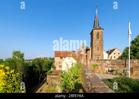 Francia, Bas Rhin, Parc Regional des Vosges du nord (Parco Naturale Regionale dei Vosgi del Nord), la Petite Pierre, il castello di Lutzelstein alla punta del vecchio villaggio, Park House, sede del Parco Naturale Regionale dei Vosgi del Nord Foto Stock