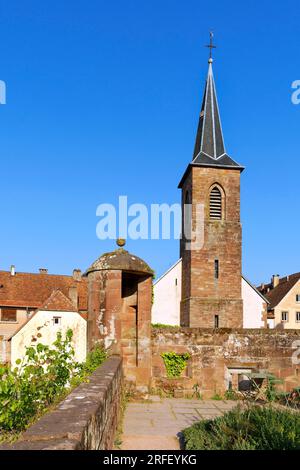 Francia, Bas Rhin, Parc Regional des Vosges du nord (Parco Naturale Regionale dei Vosgi del Nord), la Petite Pierre, il castello di Lutzelstein alla punta del vecchio villaggio, Park House, sede del Parco Naturale Regionale dei Vosgi del Nord Foto Stock