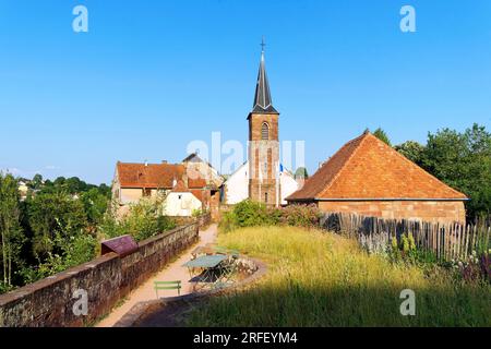 Francia, Bas Rhin, Parc Regional des Vosges du nord (Parco Naturale Regionale dei Vosgi del Nord), la Petite Pierre, il castello di Lutzelstein alla punta del vecchio villaggio, Park House, sede del Parco Naturale Regionale dei Vosgi del Nord Foto Stock