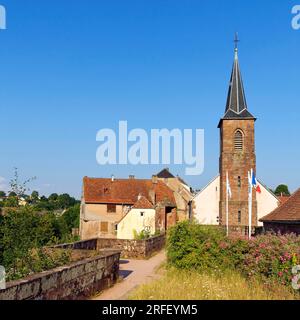 Francia, Bas Rhin, Parc Regional des Vosges du nord (Parco Naturale Regionale dei Vosgi del Nord), la Petite Pierre, il castello di Lutzelstein alla punta del vecchio villaggio, Park House, sede del Parco Naturale Regionale dei Vosgi del Nord Foto Stock