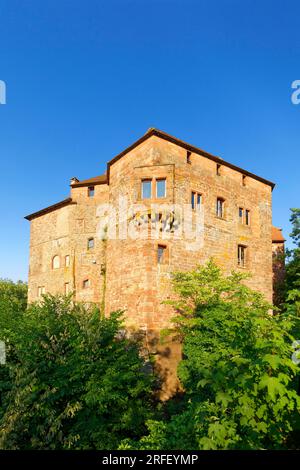 Francia, Bas Rhin, Parc Regional des Vosges du nord (Parco Naturale Regionale dei Vosgi del Nord), la Petite Pierre, il castello di Lutzelstein alla punta del vecchio villaggio, Park House, sede del Parco Naturale Regionale dei Vosgi del Nord Foto Stock