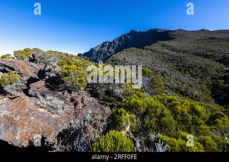 Francia, Isola della riunione, Parco Nazionale della riunione dichiarato Patrimonio dell'Umanità dall'UNESCO, vetta del Piton des Neiges (3070 m), vista dai dintorni del rifugio Dufour Foto Stock