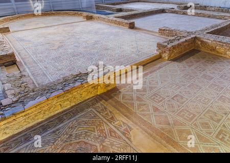 Spagna, Castiglia e León, Saldana, la Olmeda villa romana, mosaico Foto Stock