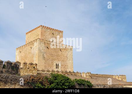 Spagna, Castiglia e León, Ciudad Rodrigo, castello Enrique II de Trastamara Foto Stock