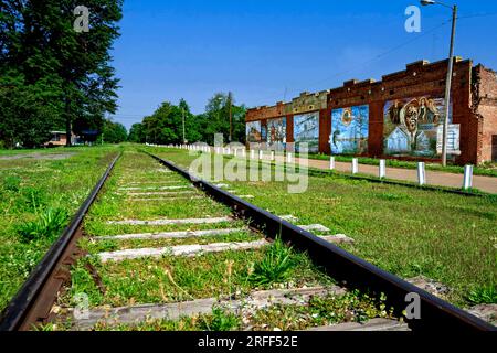 Stati Uniti, Mississippi, Tuwiller, qui si trova la tomba del bluesman Sonny Boy Williamson, il cui vero nome è Aleck Miller Foto Stock