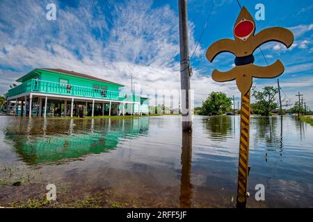 Stati Uniti, Louisiana, Abbeville, inondazioni nel bayou Foto Stock