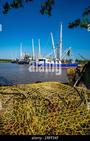 Stati Uniti, Louisiana, Abbeville, Goatherds Foto Stock