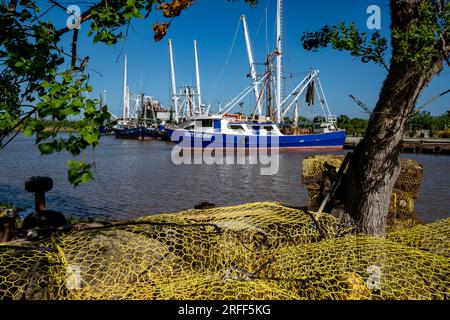 Stati Uniti, Louisiana, Abbeville, Goatherds Foto Stock