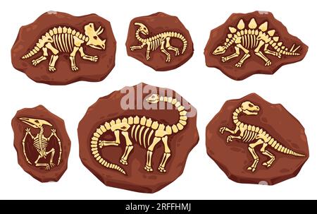 Scheletri fossili di dinosauro. Antiche impronte di dinosauri in pietra. Strati vettoriali di terra con ossa a corpo intero. Scavi archeologici e paleontologici Illustrazione Vettoriale