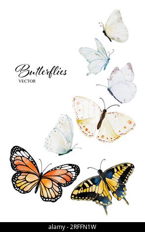 Collezione di farfalle acquerelli, elementi a farfalla vettoriale isolati su sfondo bianco. adatto per decorare il tuo design. Illustrazione Vettoriale