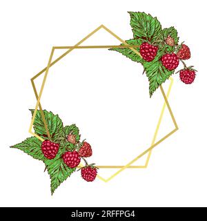 Cornice dorata con rami di lampone. Illustrazione vettoriale di una cornice con bacche. Biglietti d'auguri, inviti, striscioni estivi, etichette alimentari. Illustrazione Vettoriale