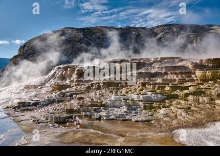 Mound Spring e Jupiter Terrace, Mammoth Hot Springs, Yellowstone National Park, Wyoming, Stati Uniti d'America Foto Stock