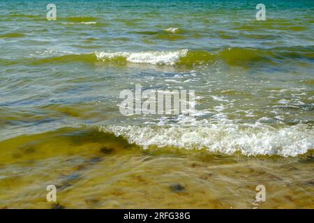 Piccole onde sulla riva del Mar Baltico in Lettonia Foto Stock