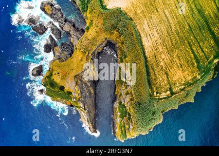 Foto aerea, punto di vista con droni, surf nell'Oceano Atlantico, costa rocciosa e terreni agricoli dell'Isola di Ponta Delgada. Sao Miguel, Azzorre, Portogallo. Bella n Foto Stock