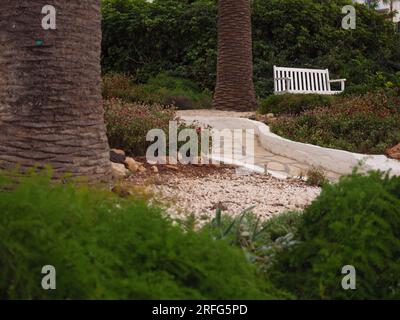 Panca bianca di legno vuota sotto una palma in un piccolo parco alberghiero ad Ayia Napa, Cipro. Un posto tranquillo e solitario dove riposare. Foto Stock