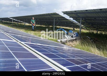 Klein Rheide, Germania. 3 agosto 2023. Un dipendente taglia le aree verdi tra i moduli solari del parco solare Klein Rheide con uno speciale motofalciatrice telecomandata che è delicato sugli insetti. Il ministro federale dell'economia Habeck ha visitato lo stabilimento di promozione della biodiversità Agri-PV come parte del suo tour estivo nella sua circoscrizione di Flensburg-Schleswig. Credito: Marcus Brandt/dpa/Alamy Live News Foto Stock