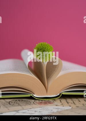 Fiore verde santini adagiato su un libro aperto con pagine di libri a forma di cuore su sfondo rosa, scena di libri romantici Foto Stock