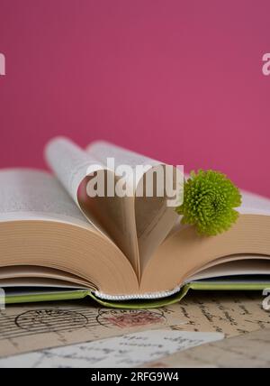 Fiore verde santini adagiato su un libro aperto con pagine di libri a forma di cuore su sfondo rosa, scena di libri romantici Foto Stock