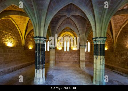 La sala Capitolare del Monasterio de Piedra. L'abbazia di Piedra fu costruita in stile gotico tra il 1262 e il 1350 nello stile architettonico di Foto Stock