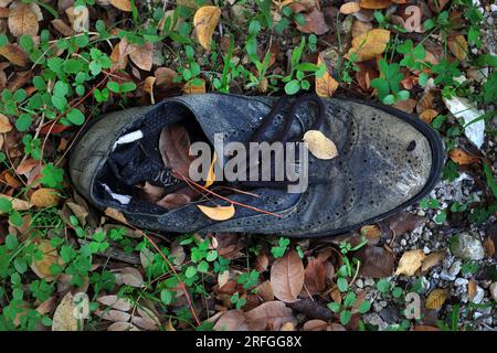 Una vecchia scarpa strappata gettata via nella foresta coperta di foglie cadute. Foto Stock