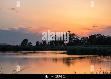 Spettacolare tramonto con riflessi dorati nell'acqua del Parco naturale El Hondo, Elche Crevillente, Spagna Foto Stock